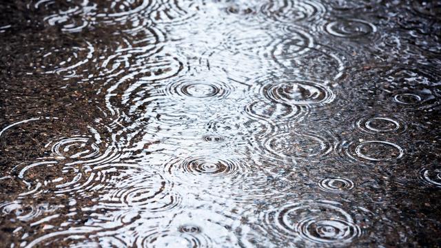 下雨了日记