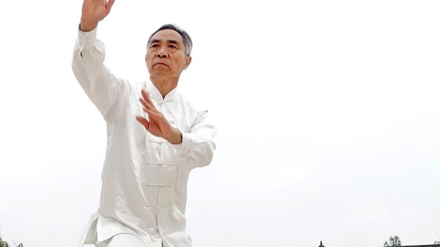 陈氏太极拳“小架”