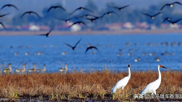 沉鱼落雁成语接龙