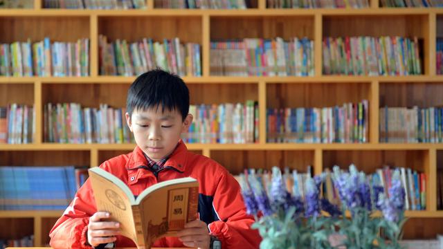 观察蚂蚁小学生作文