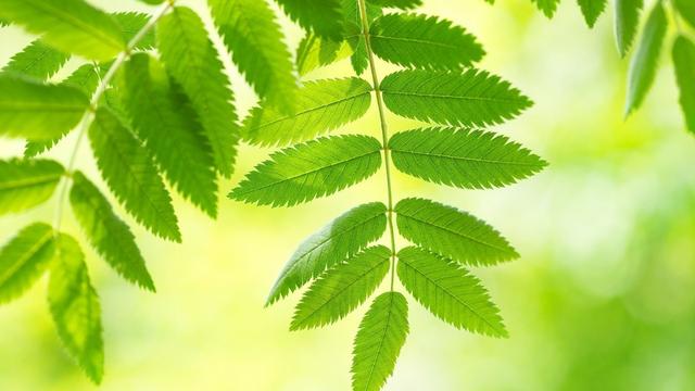送李中丞归汉阳别业古诗