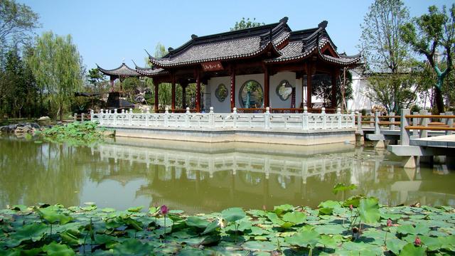 伯乐爱马原文翻译