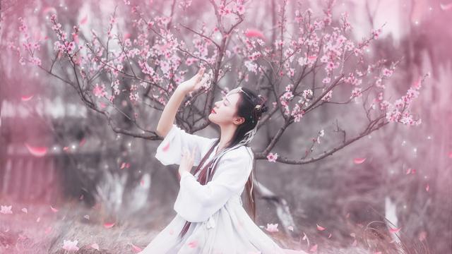 李清照经典诗句人生感悟