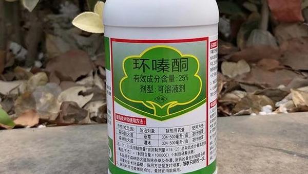 α―氰基―β―乙氧基丙烯酸乙酯的合成与应用分析