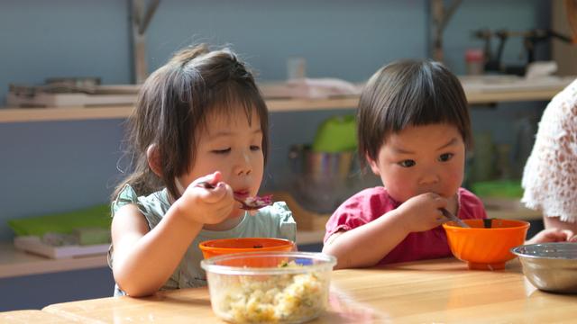 幼儿小班吃饭儿歌教案