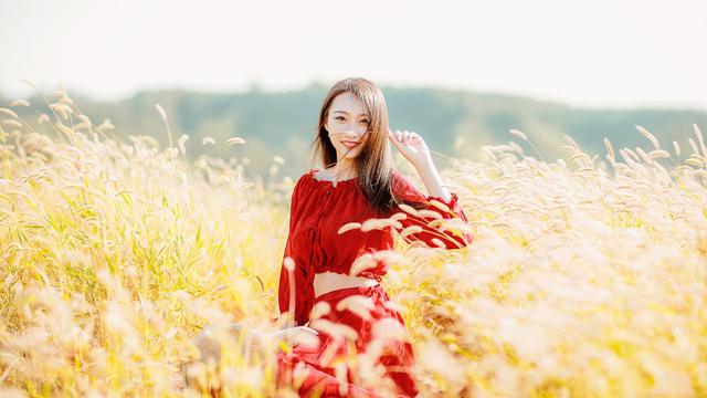 秋天丰收的诗句有哪些