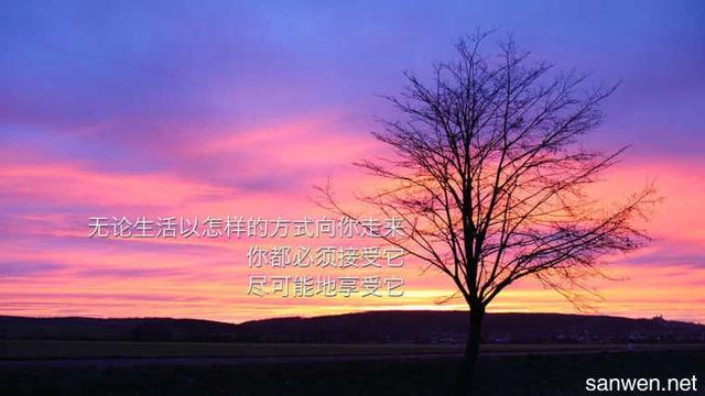 高中励志文章：一米远的天堂