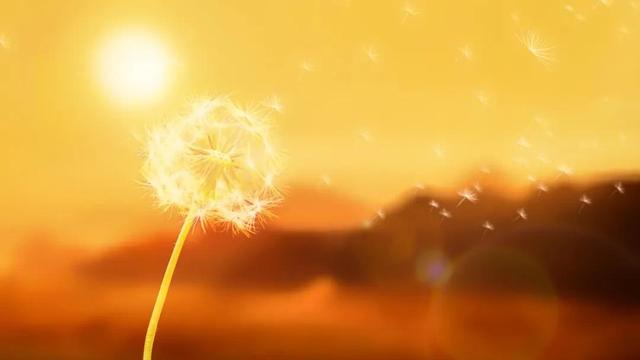 《寿阳曲·远浦帆归》赏析