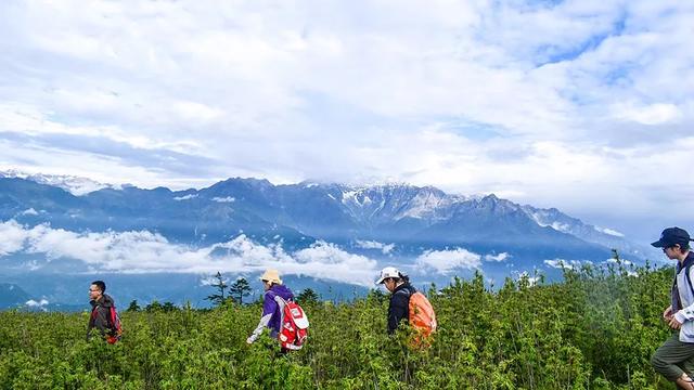 关于清明登山的古诗30首