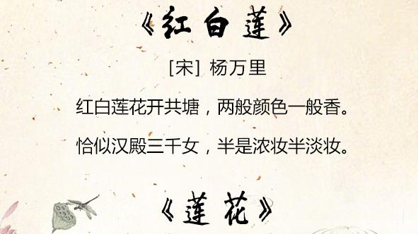 关于夏天的古诗词