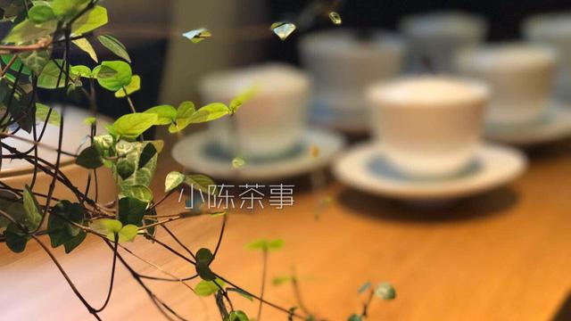 安吉白茶的冲泡方法介绍
