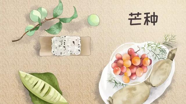 芒种节气古诗句