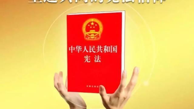 【推荐】学生学宪法讲宪法心得体会300字