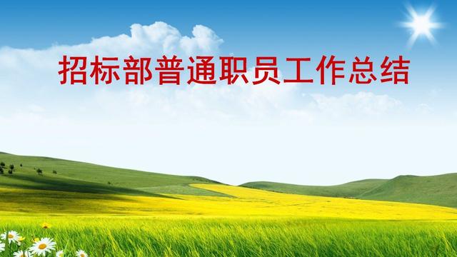 招投标工作总结