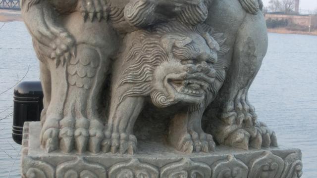 关于卢沟桥的石狮子作文（通用）
