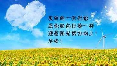 感时花溅泪10篇