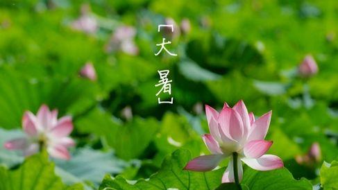 关于大暑的古诗词