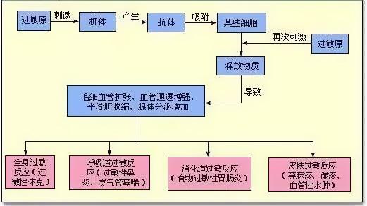 经典化妆品的广告语