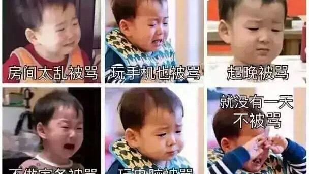 最新浦发银行实习心得