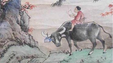 专心学习的成语