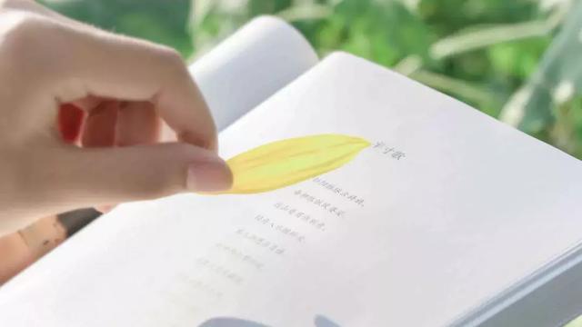 形容8月夏日的唯美诗句