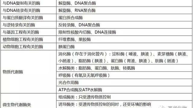 dna聚合酶的作用