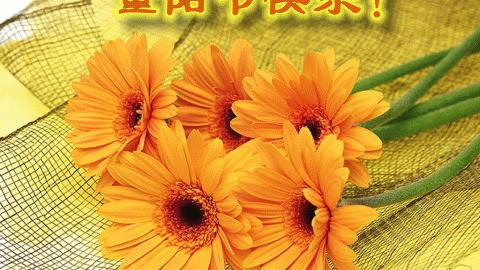 重阳节问候语