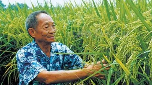 赞美医生的诗句大全