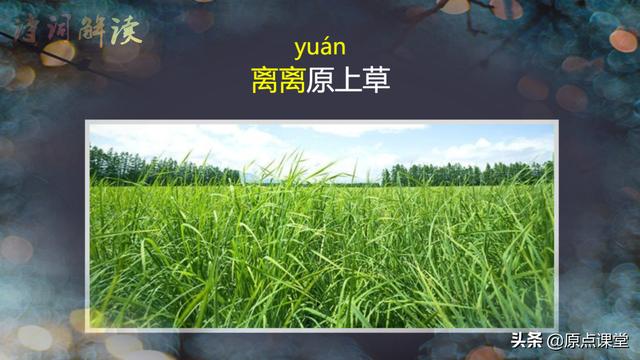 小学诗词《赋得古原草送别》注释及赏析