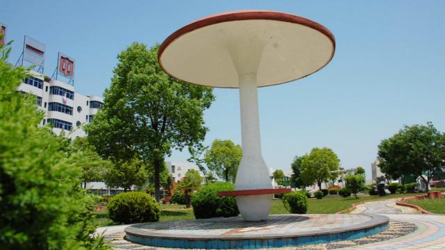 广水高中排名高中,是高级中学的简称,全中国的中学分为初级中学与高级