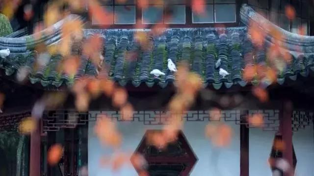 家教经典格言