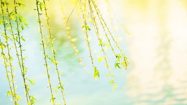渭城曲古诗原文