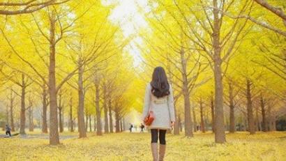 《我们生活的小镇》中班教案