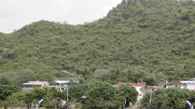 冬天的桂林作文