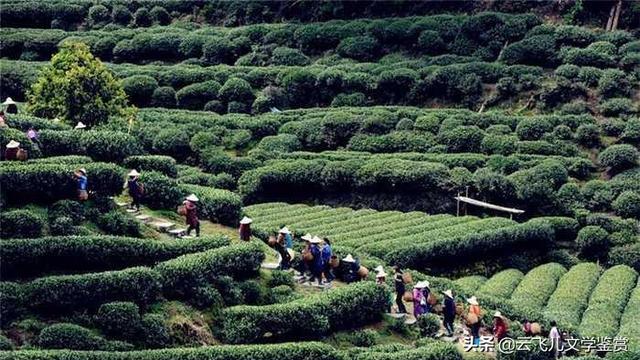 依山傍水造句怎么造