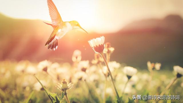 带有四季古诗词飞花令