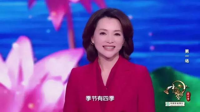 撒贝宁经典诗词开场白