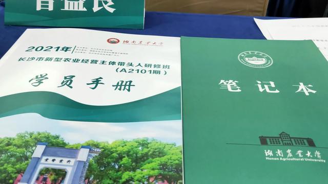 县级培训者团队研修班总结精选