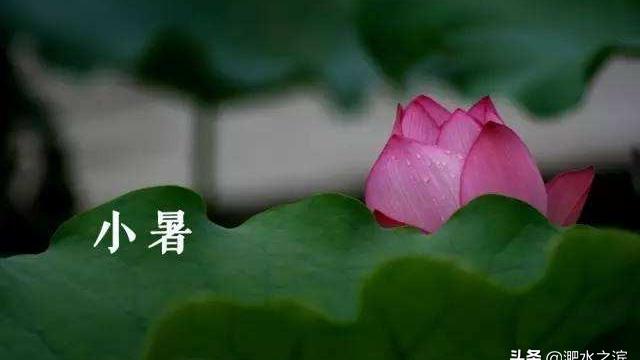 小暑五字诗句