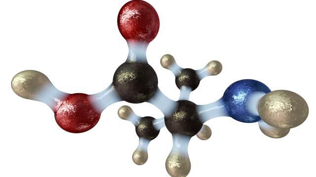 茚三酮溶液检验氨基酸实验的实证与优化