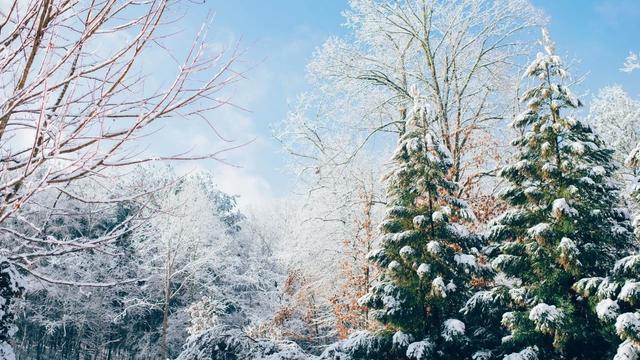 关于雪的诗句古诗大全优美