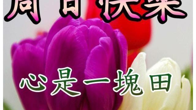 农村的日记