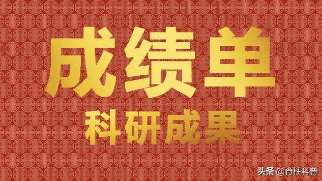 科研工作总结