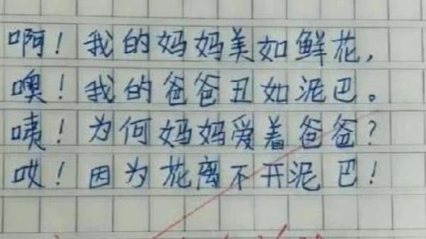 奶爸的作文