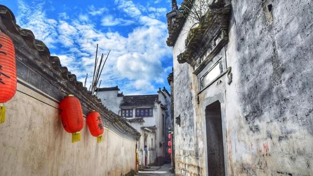 重阳节敬老的诗句有哪些