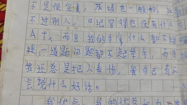 长处与短处作文100字