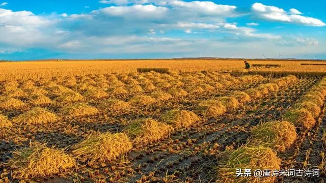 芒种最有名的诗词精选12首