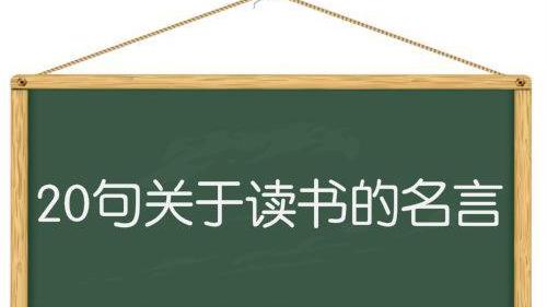 关于读书的成语故事 谚语 名言警句等