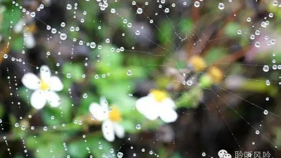 立夏下雨发朋友圈的句子