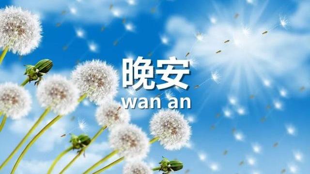精选美好的晚安QQ问候语大汇总
